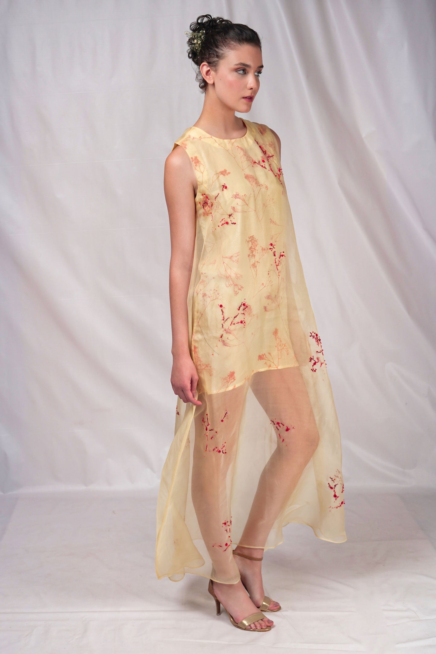 Yellow Hued Organza Dress with Embroidery Details