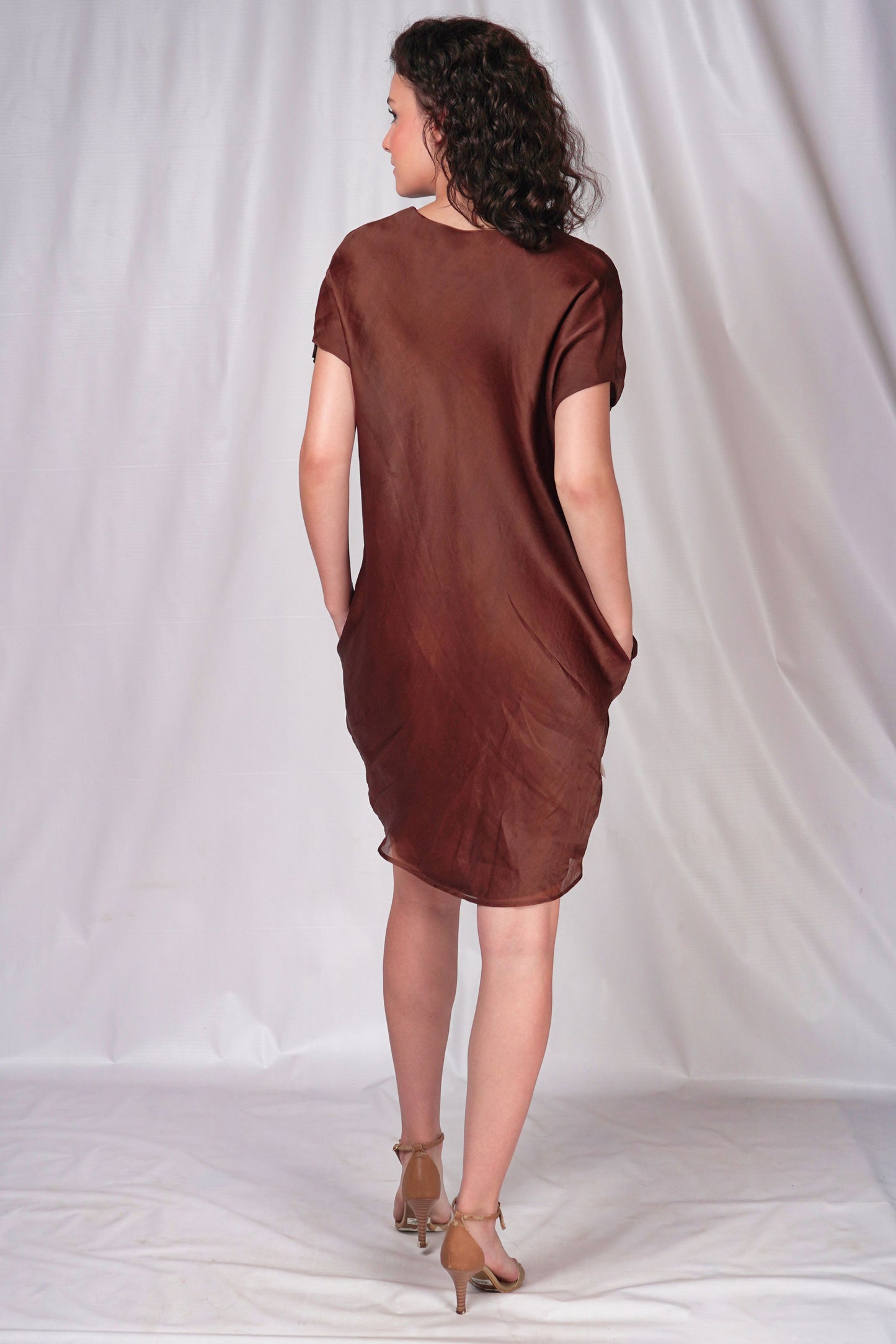 Brown Balloon Dress with Floral Embroidery